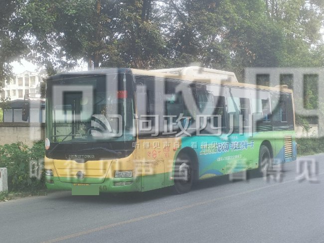 图片由问政四川网友提供